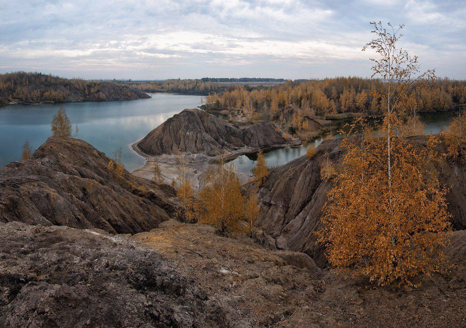 , Анатолий Зверев