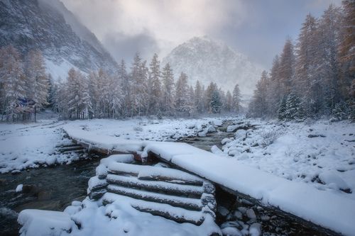 Из осени в зиму