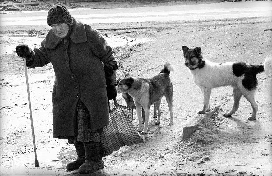 старики, Юрий  Храмутичев