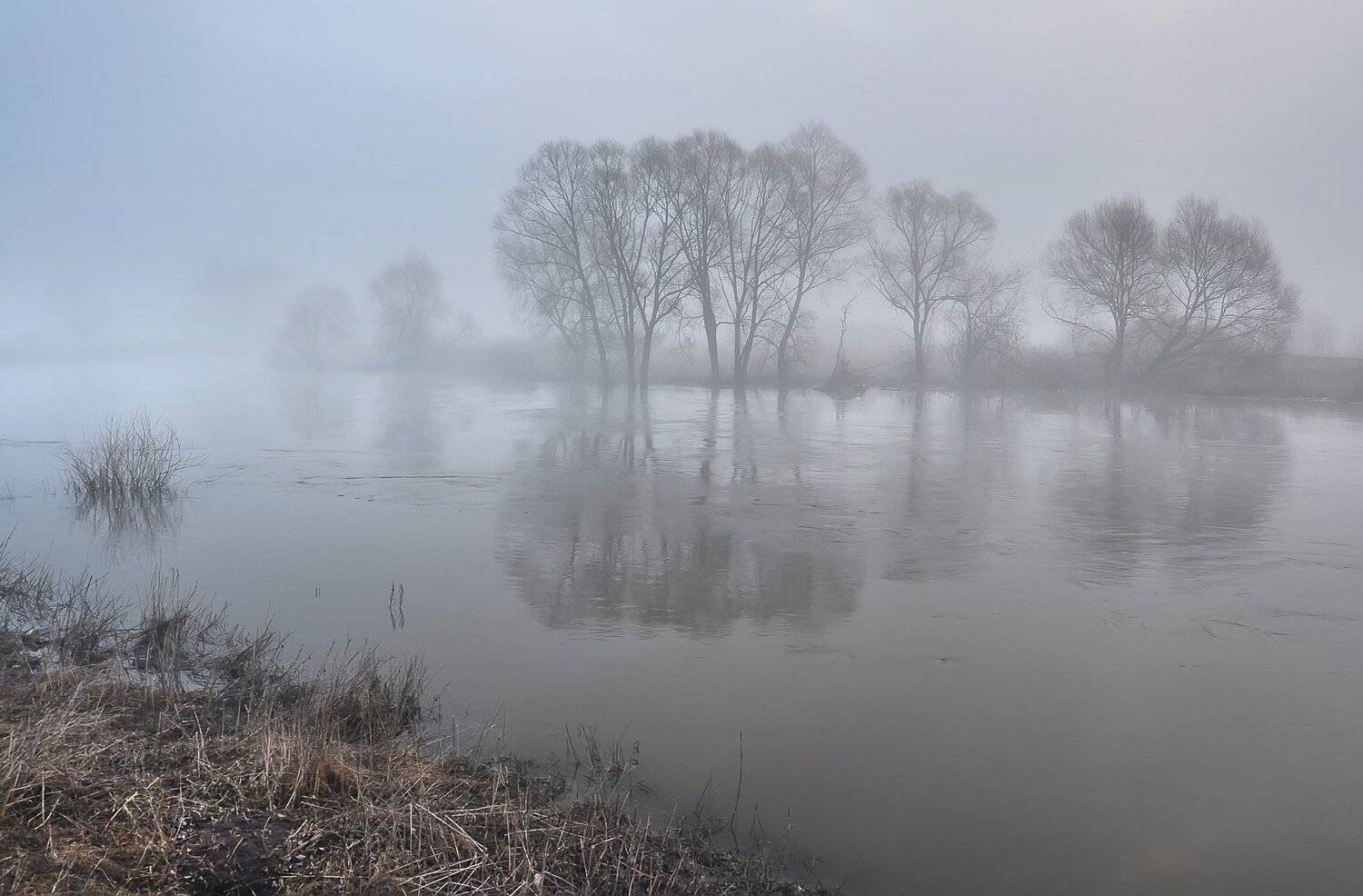 , Макеев Алексей