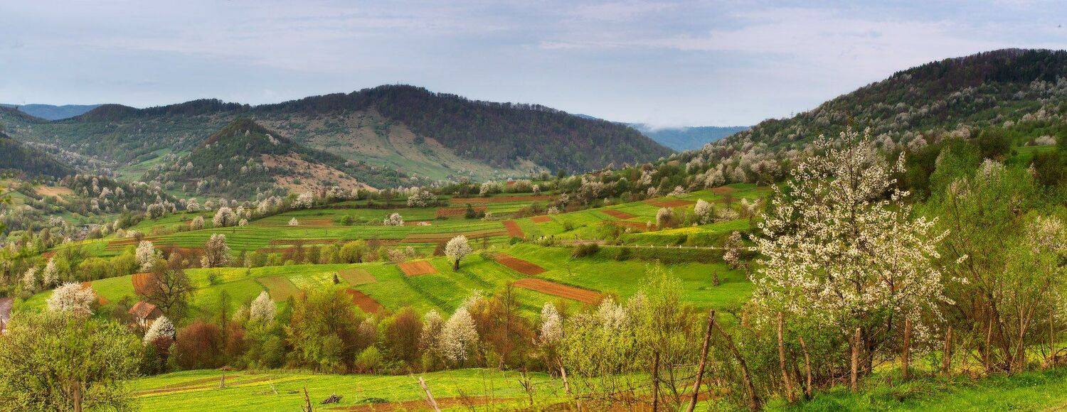 весна, горы, карпаты, май, Вейзе Максим