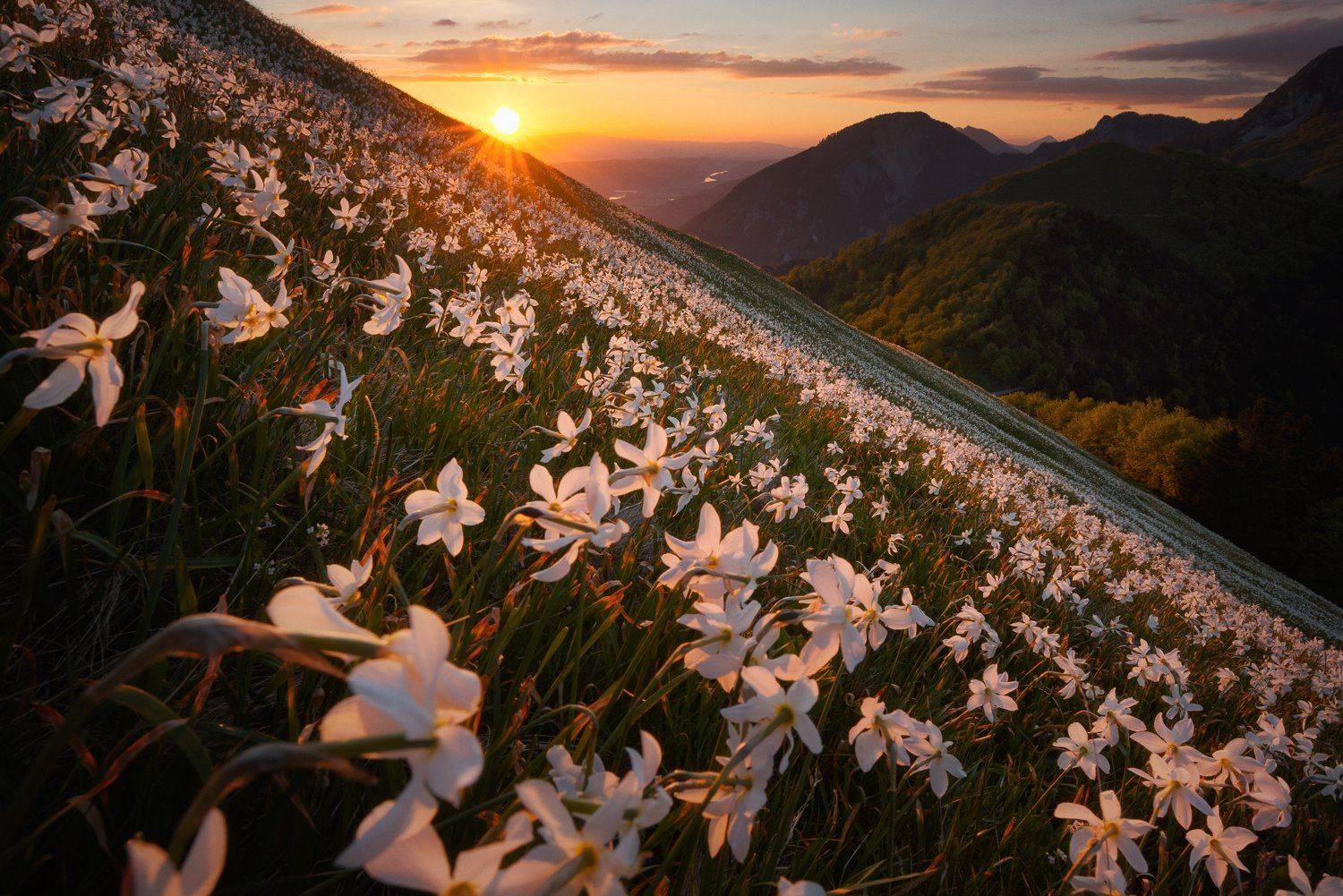, Pawel Uchorczak