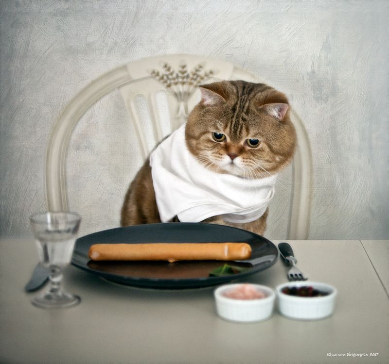 Опять сосиска фото превью