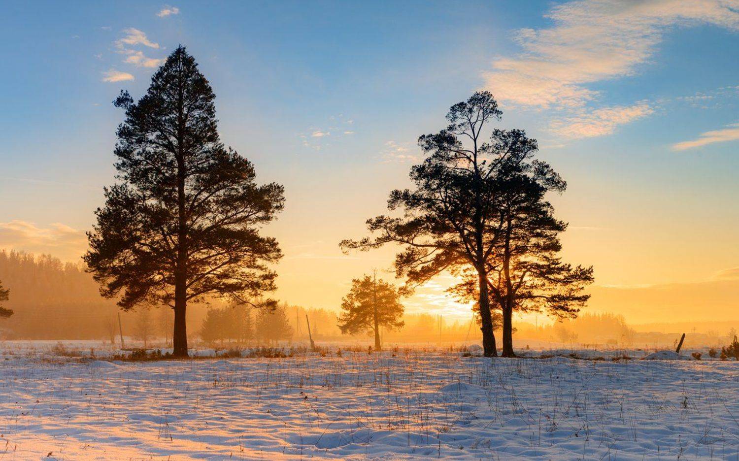 , Воинков Виктор