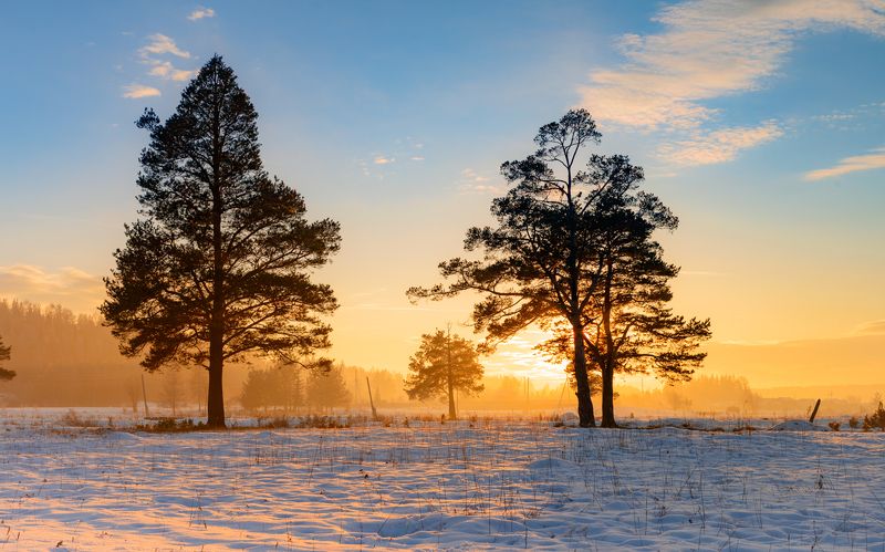 *** фото превью
