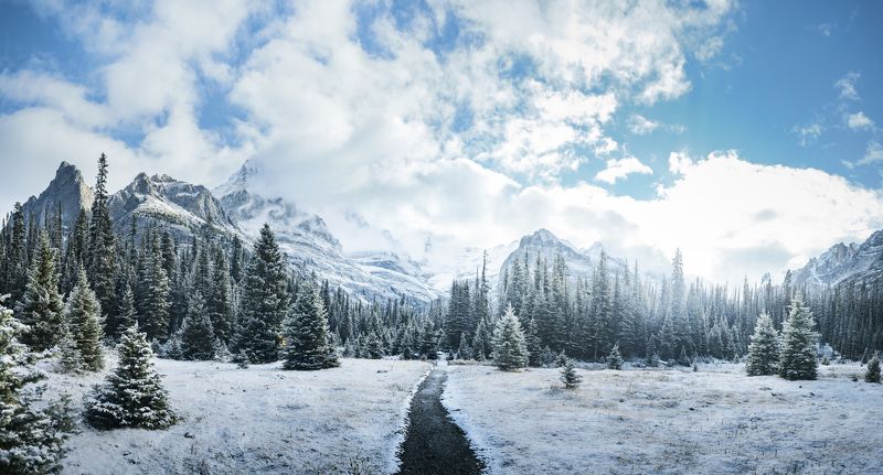 canada, british columbia, bc, yoho, yoho national park, lake o\\\'hara, mountain range, mountains, peaks, high, alpine, forest, winter, snow, cold, white, panorama, panoramic, trail, hike, outdoor, landscapes, landscape, canadian rockies, rockie mountains,  Mountain World фото превью