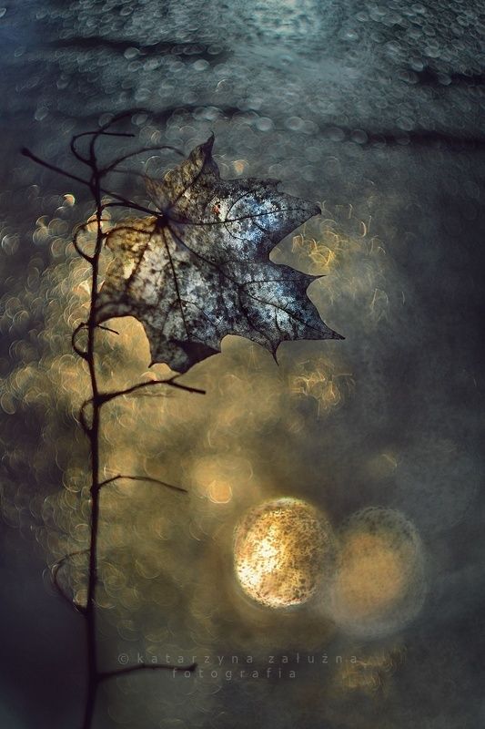 Blow to the moon