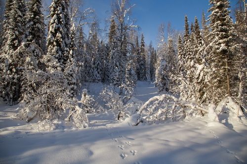 Фотоохота на снег!