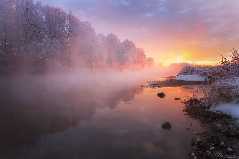 Нежный зимний рассвет фото превью