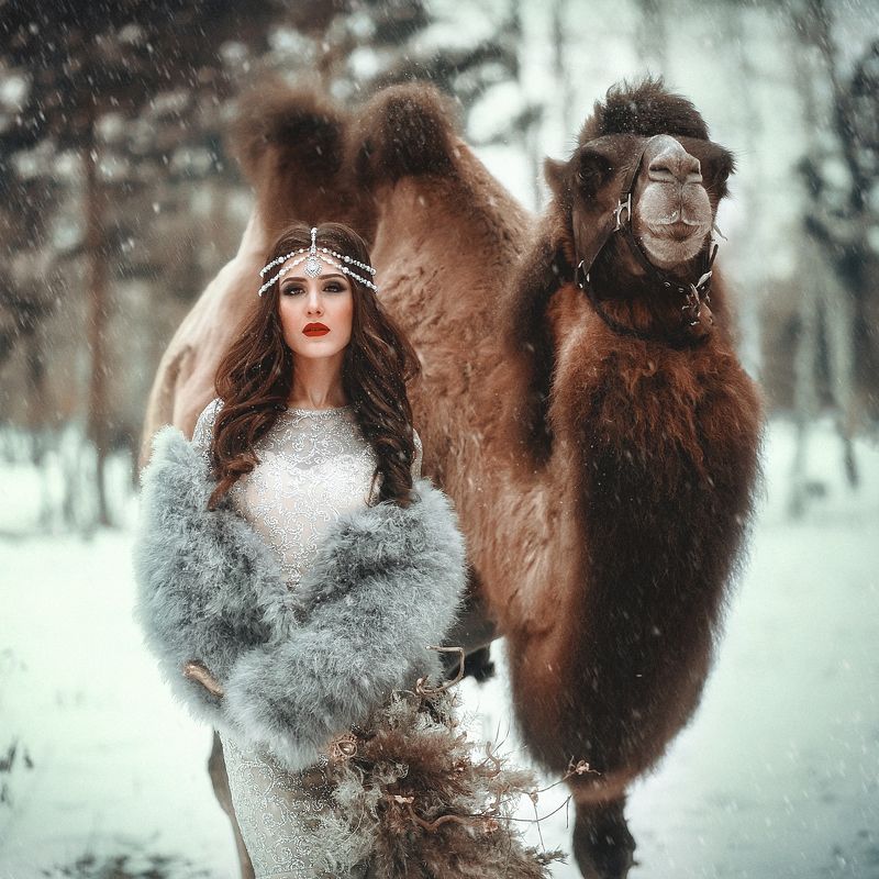 Восточная сказка фото превью