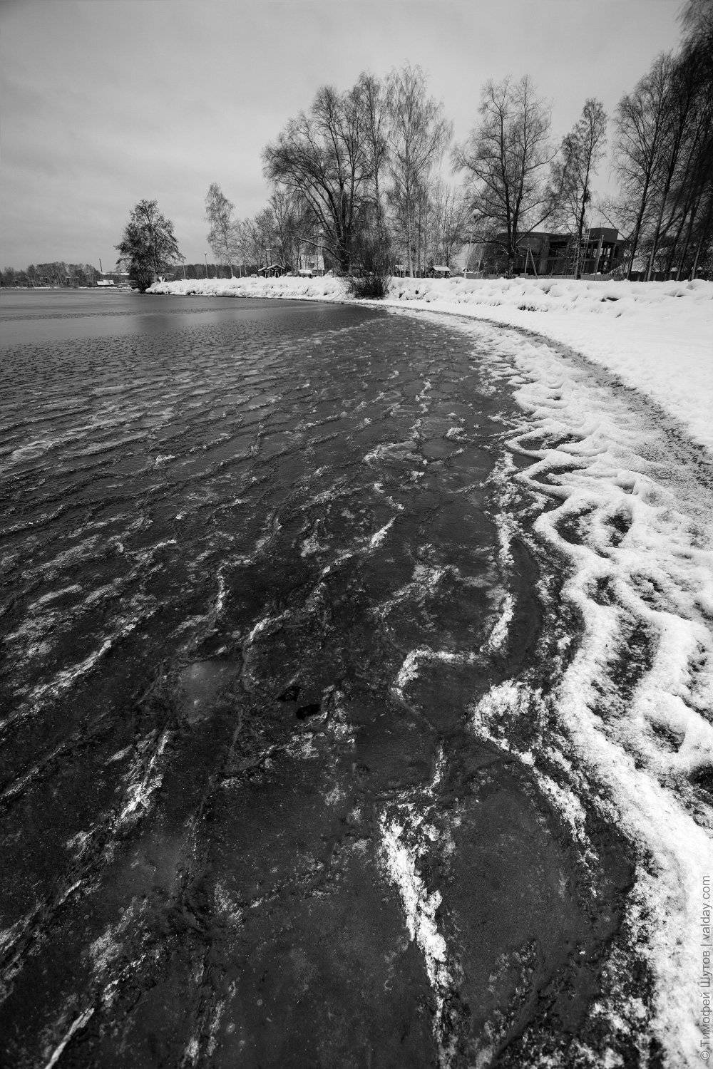 валдай, Тимофей Шутов