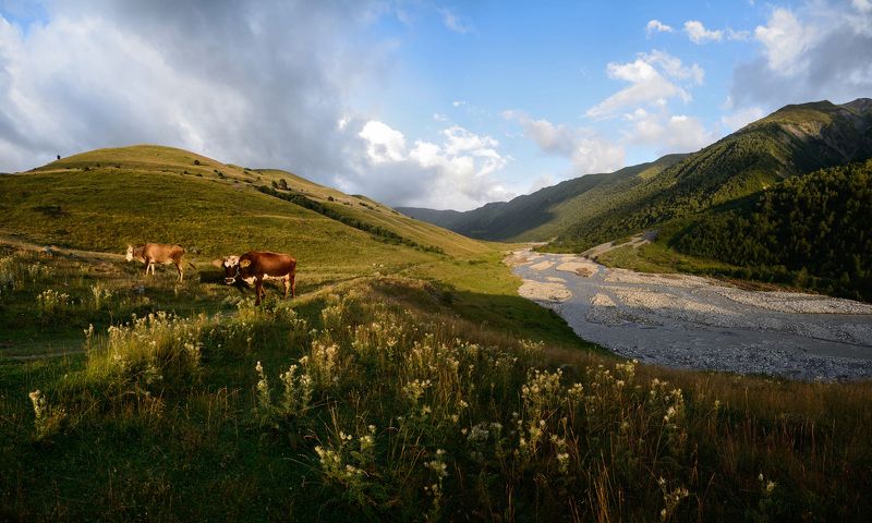 Caucasian ways фото превью