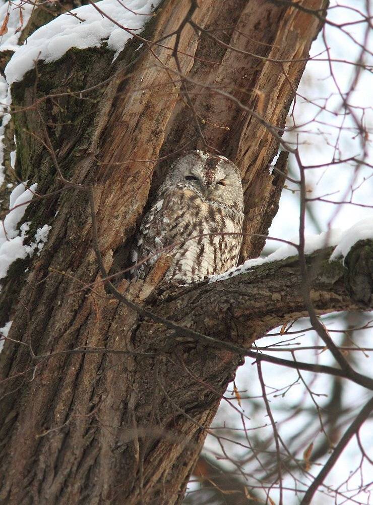 , Михаил Крюков