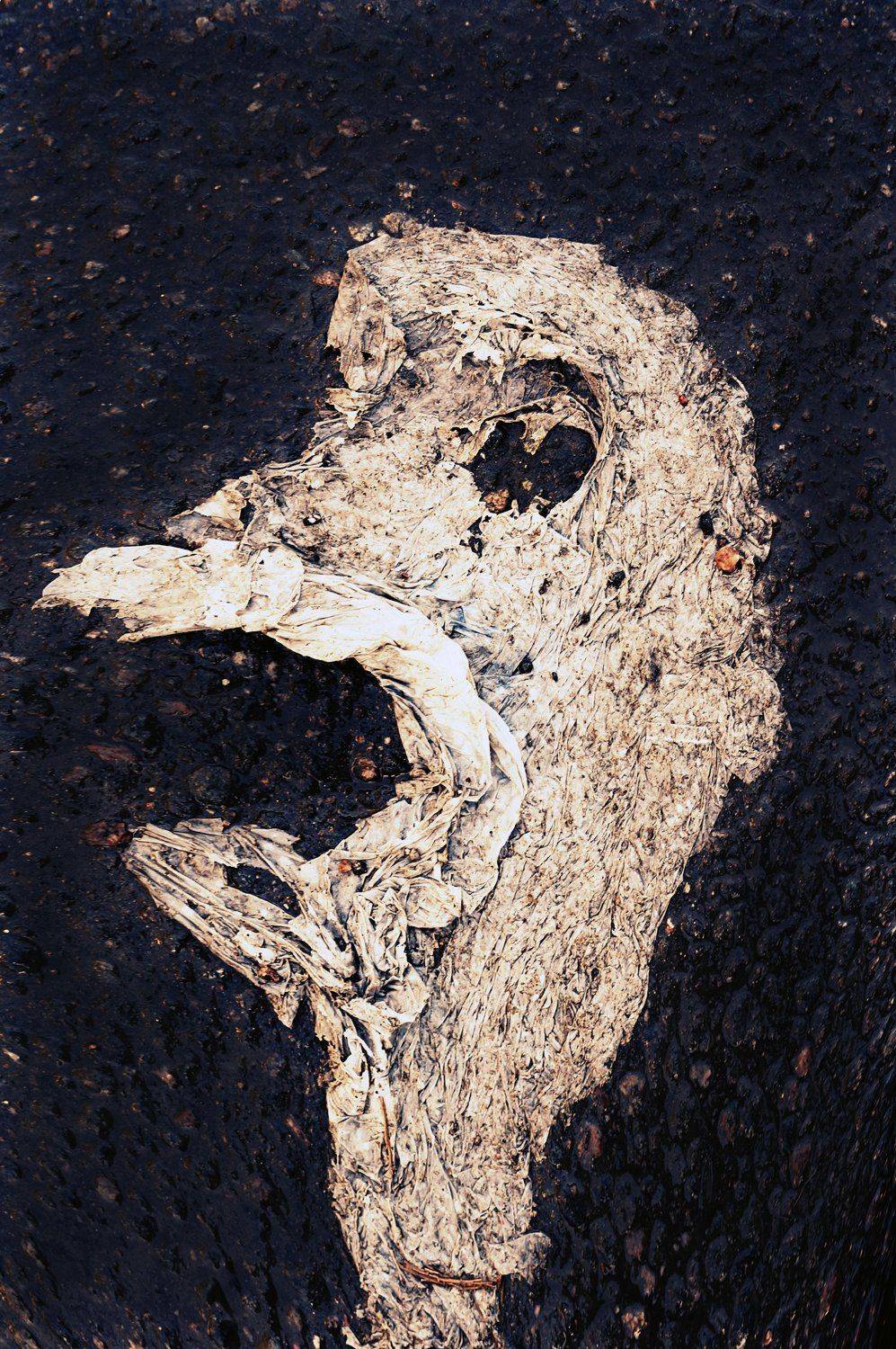 , ПОЛУЕВ ИЛЬЯ