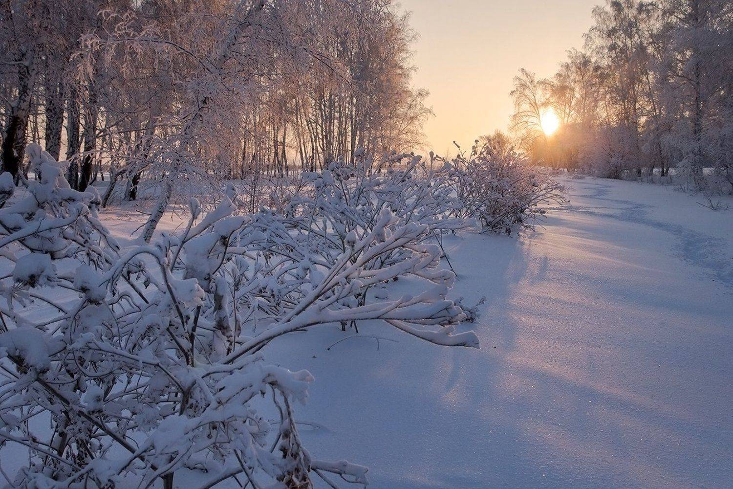 , Дмитрий Д.