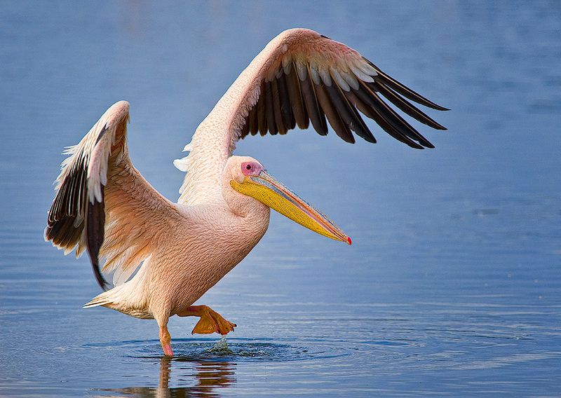 О-о-о! Тёпленькая ! фото превью