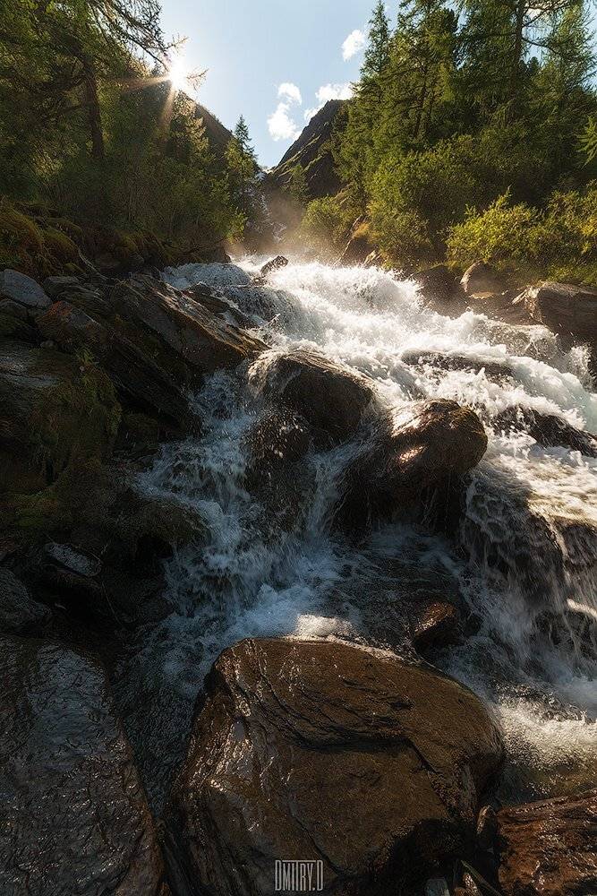 алтай, река, горы, деревья, россия, камни,, Дмитрий Доронин