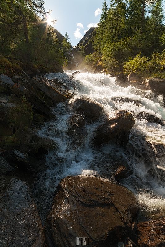 алтай, река, горы, деревья, россия, камни, Поток фото превью
