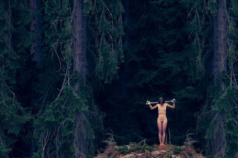 Lost Fate фото превью