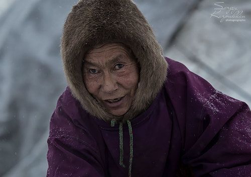 Соседка по стойбищу.