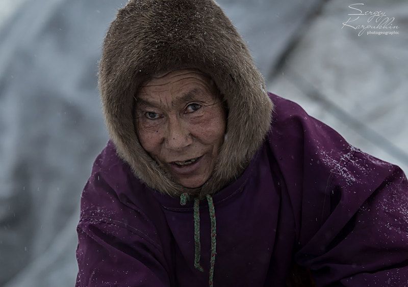 ямал, полярный урал, олени, оленеводы, ненцы Соседка по стойбищу. фото превью