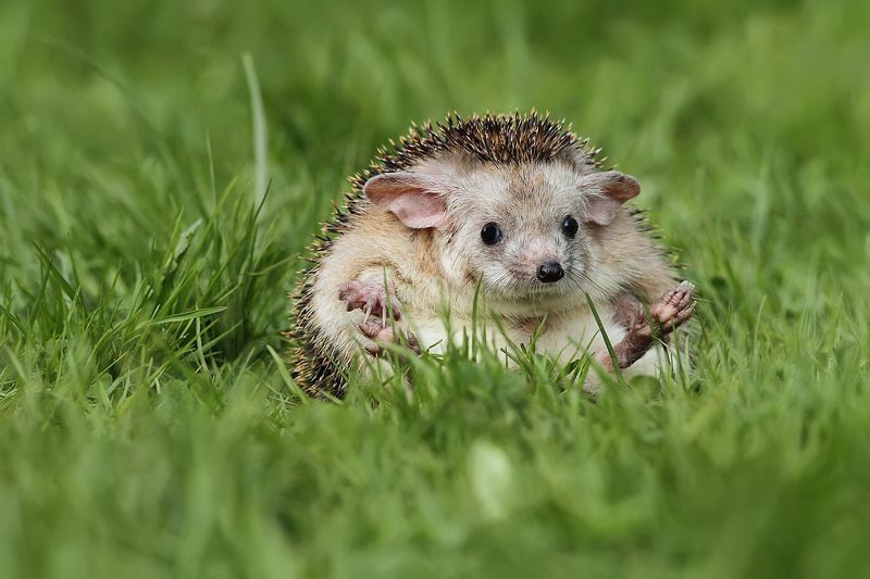 pohoda фото превью