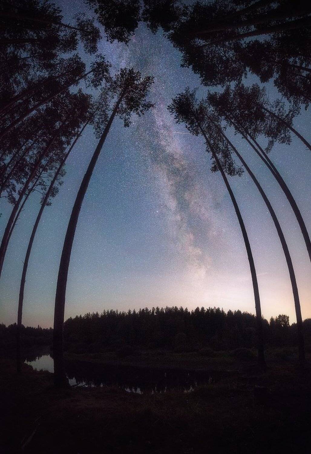 , Устюжанин Михаил