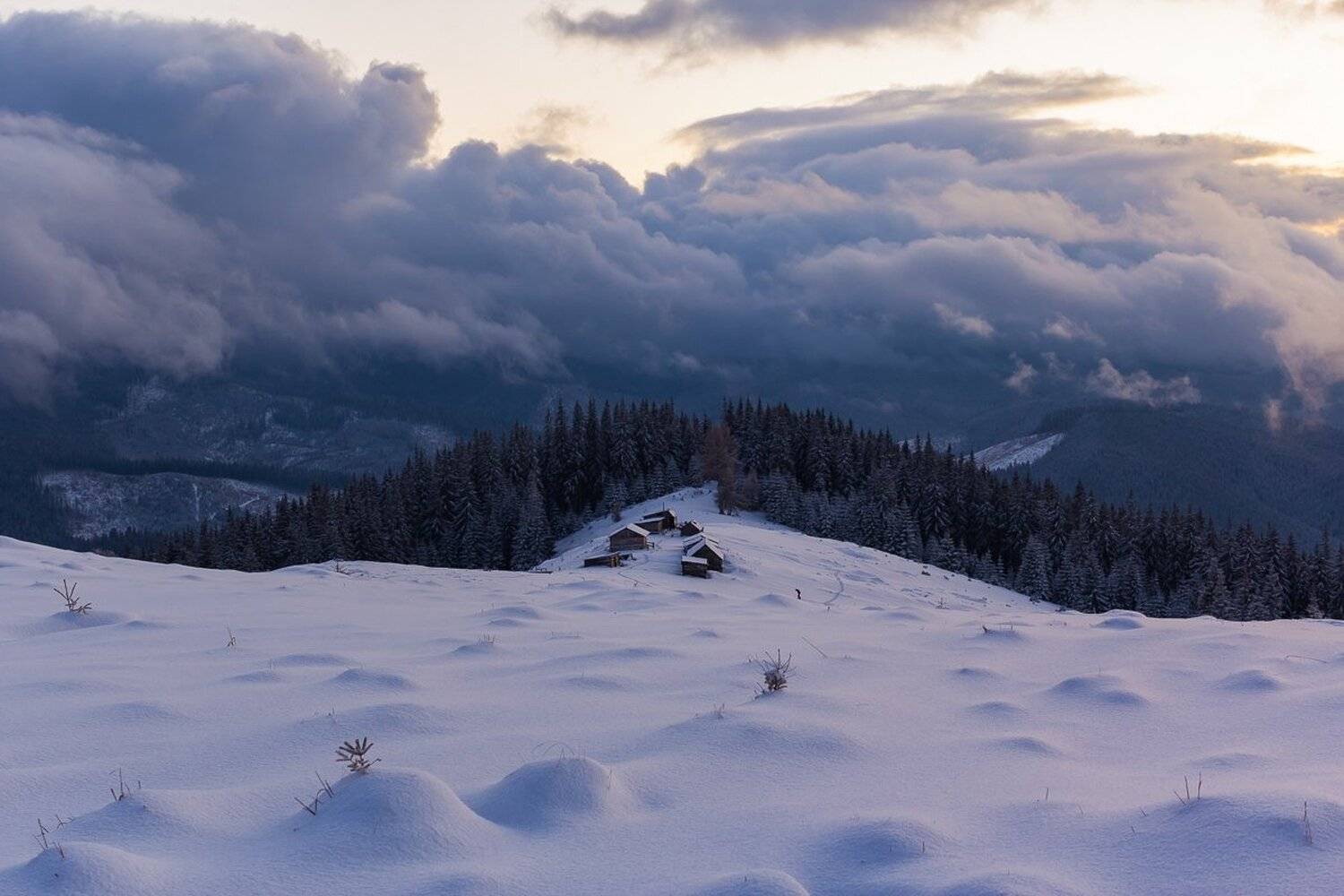, Александр Подрез
