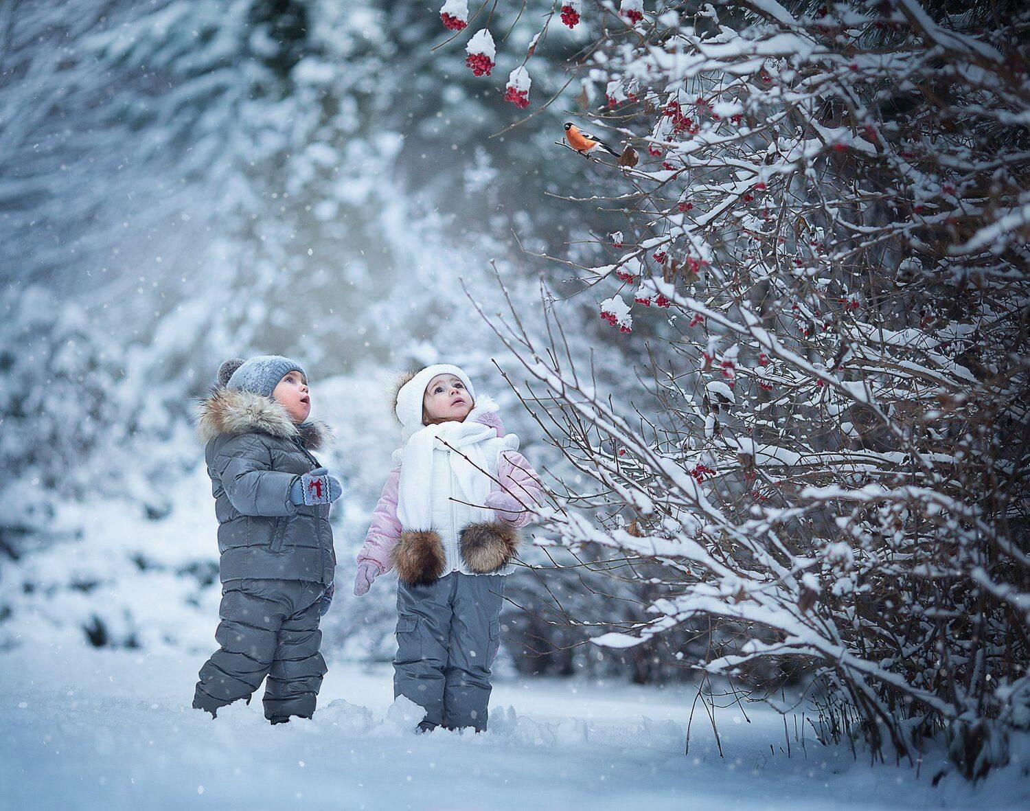 , Диана Аникеева