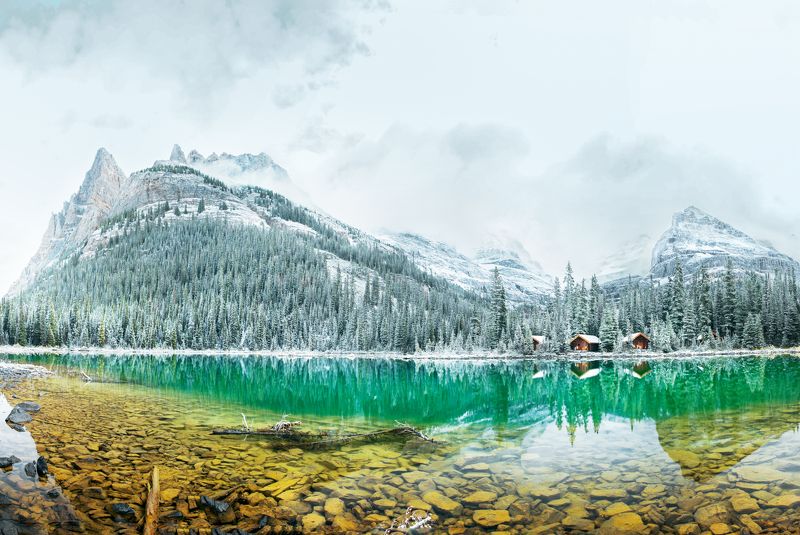 canada ,british columbia, bc ,yoho ,yoho national park ,larch season ,lake o\\\'hara ,amazing nature, explore canada, canadain, mountain peak, panorama, autumn in canada ,rockie mountains, canadian rockies ,parks canada ,canadian photography, wild places ,  Coexistence фото превью