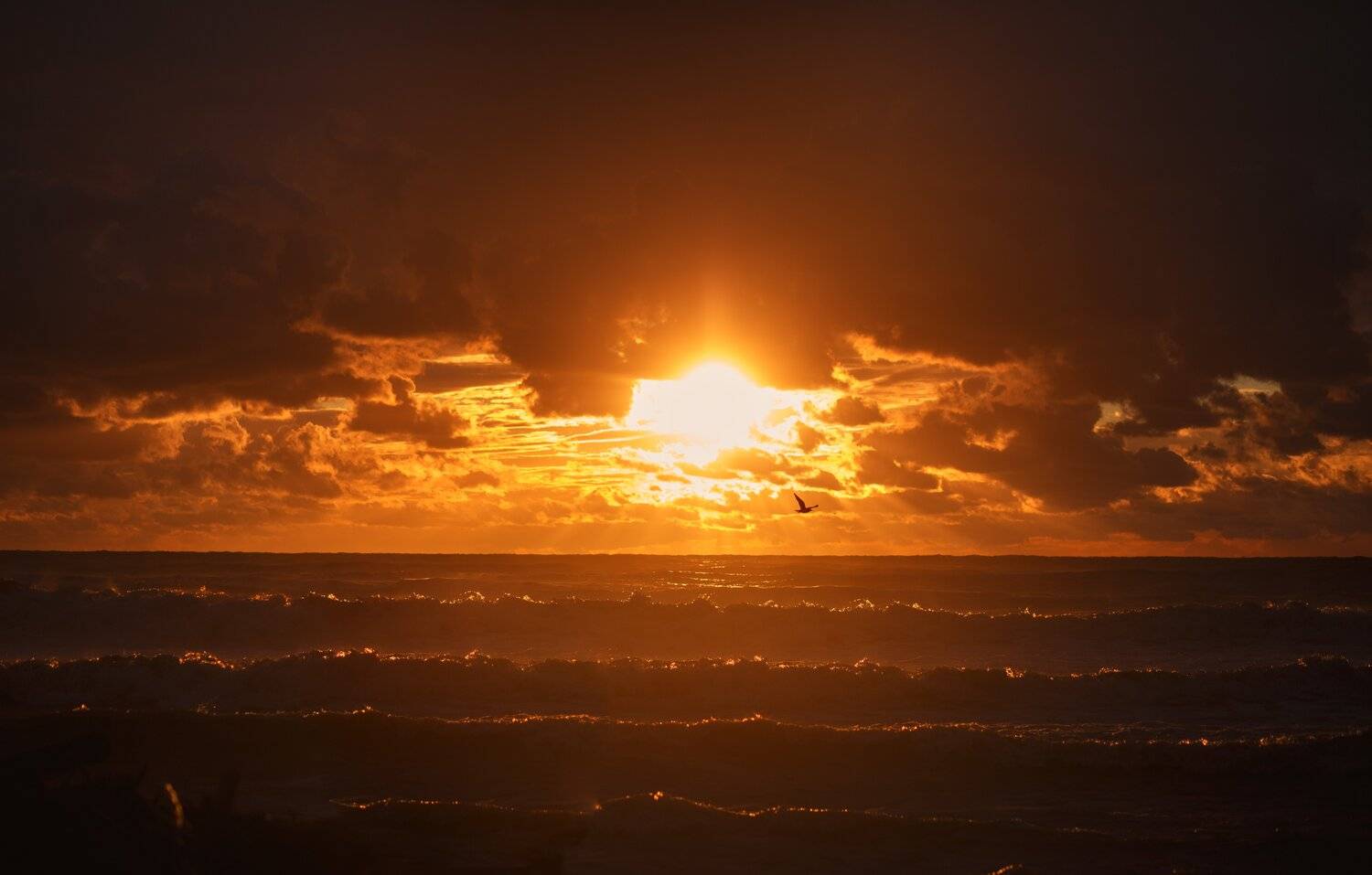 закат, море, сочи, шторм, волны, свет, Наталья Санникова