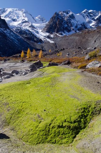 ледниковые игры II