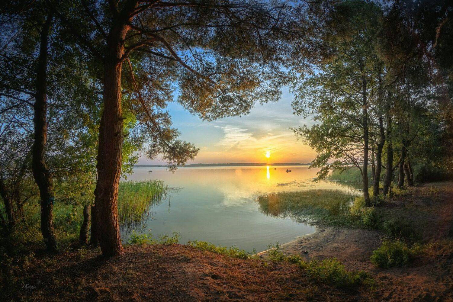 Беларусь, Серж Домбровский