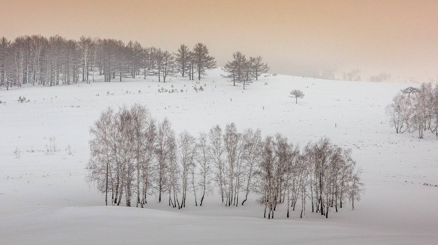 , Качурин Алексей
