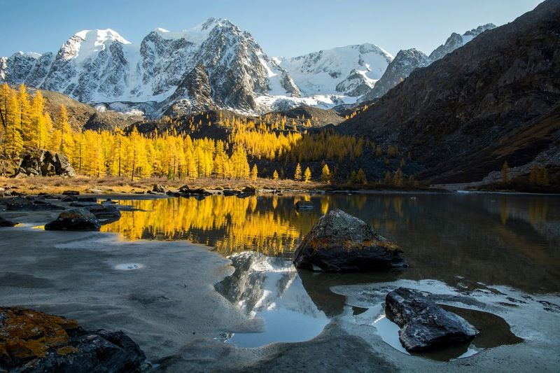 алтай,осень Золотой вечер фото превью