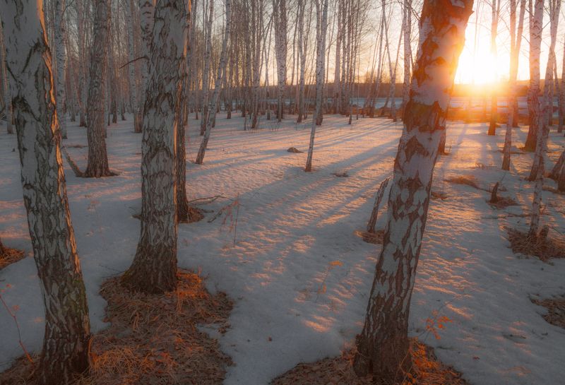 **** фото превью