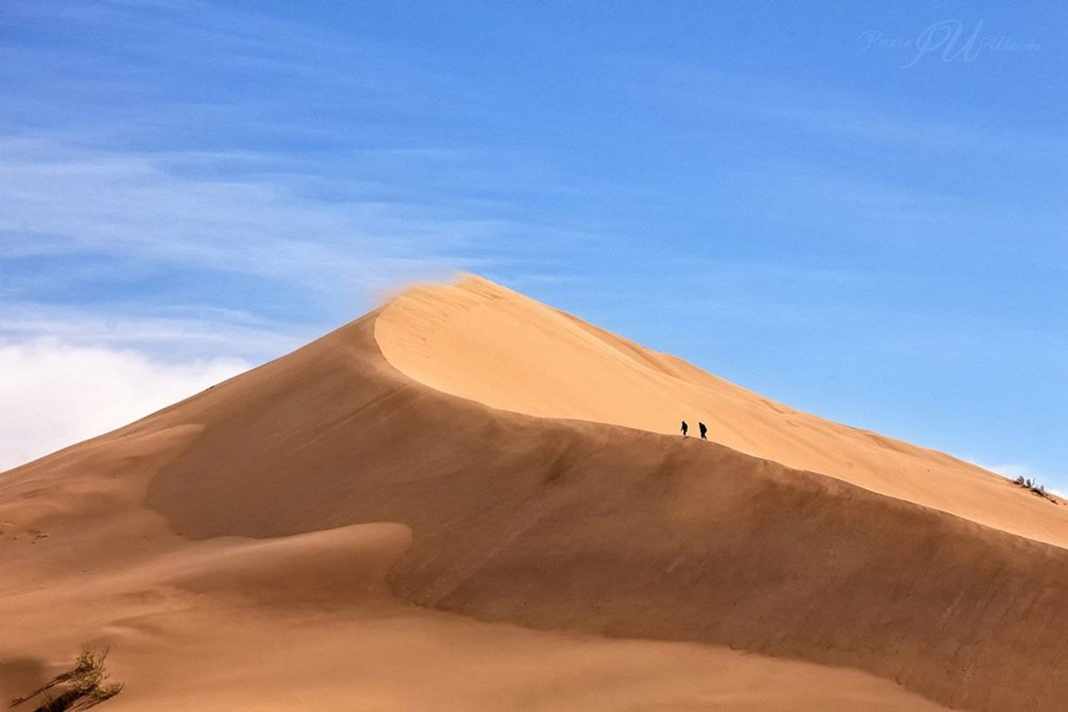 казахстан. бархан., Иванова Регина