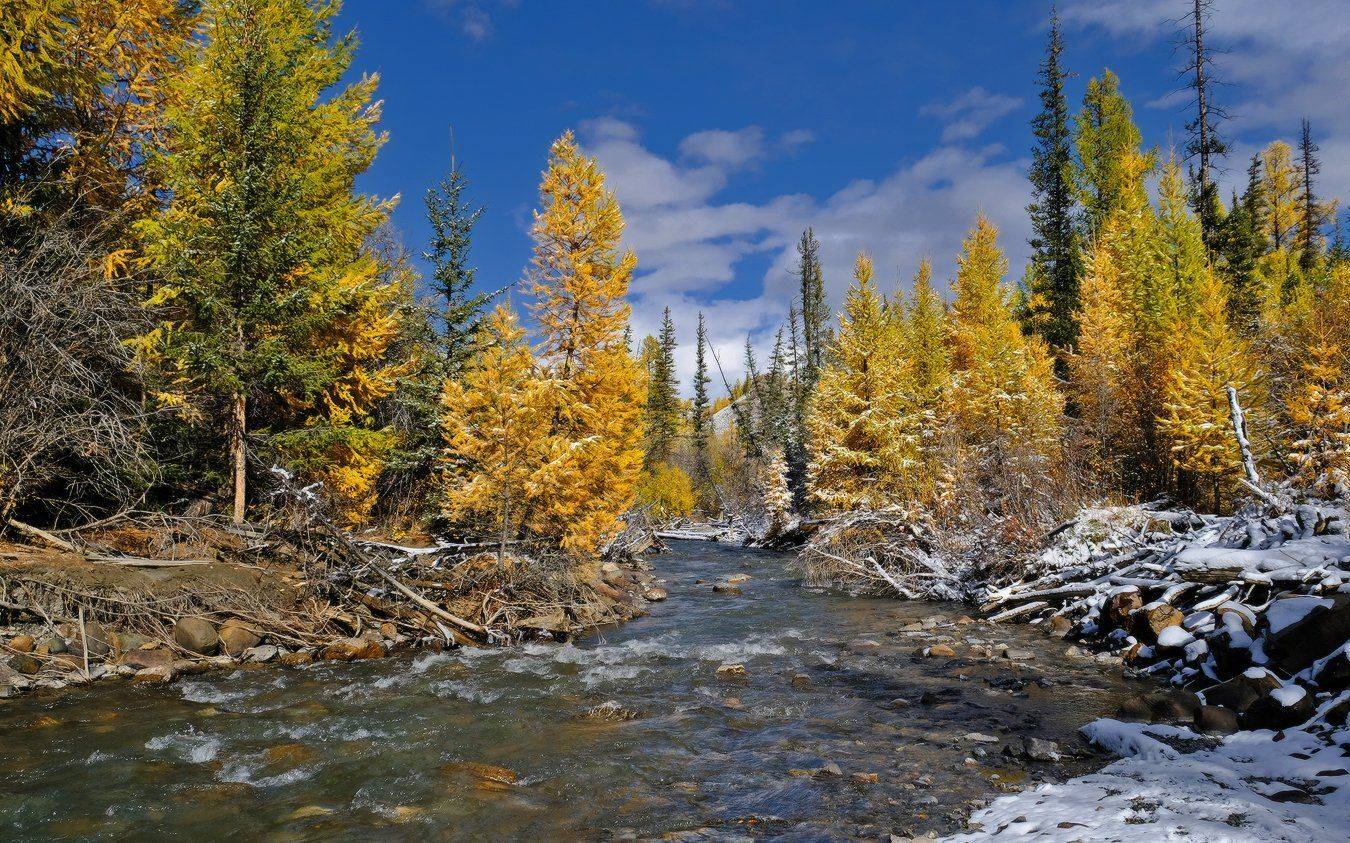 , Ольга Челдыкова