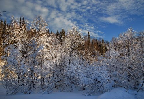 Тёплое в холодном..!