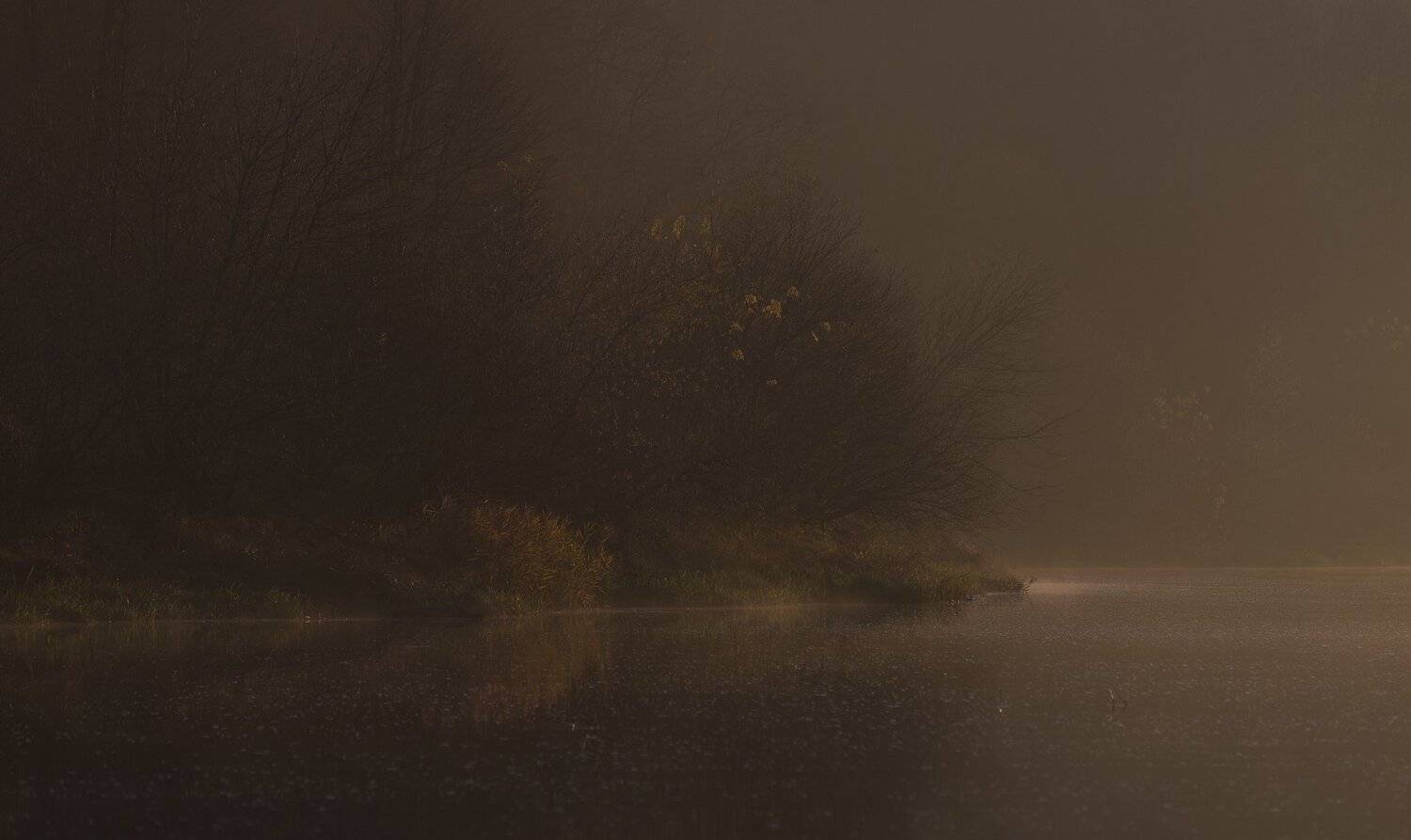 , Николай Шахманцир