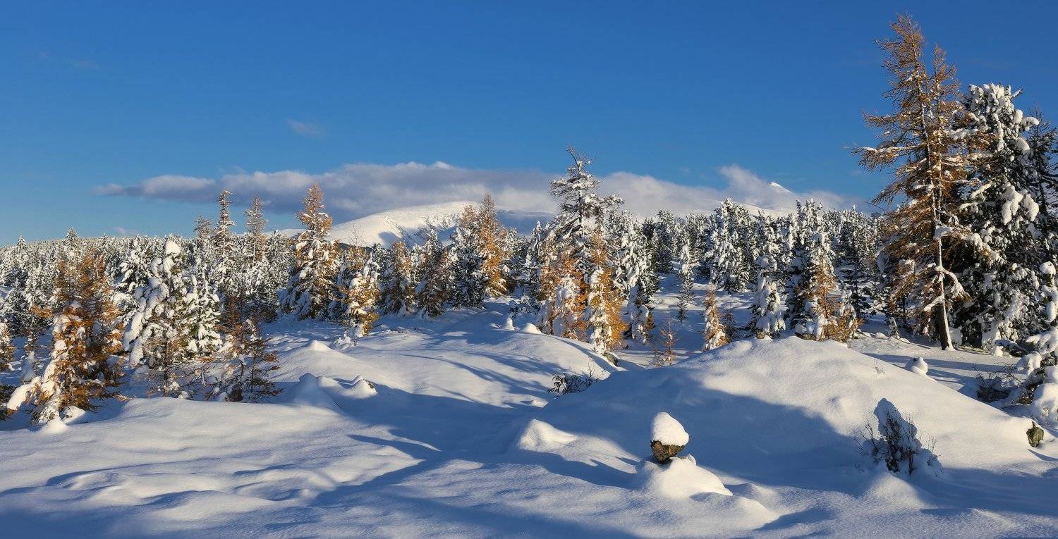 алтай, горный алтай, улаганский перевал, снег, Галина Хвостенко