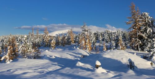 Зима на перевале