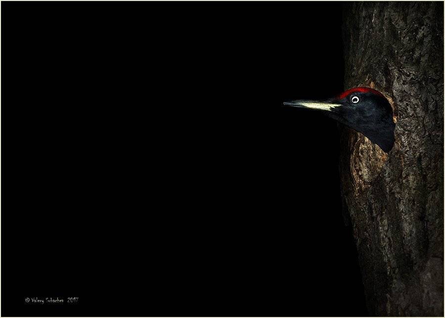 , Валерий Субачев