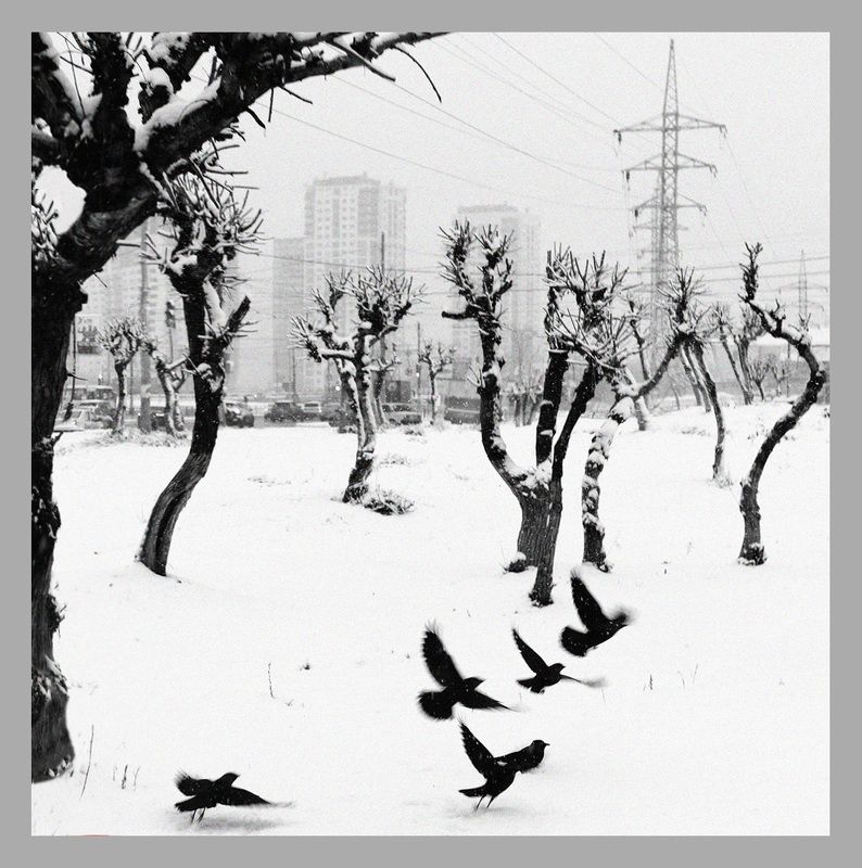 Город фото превью