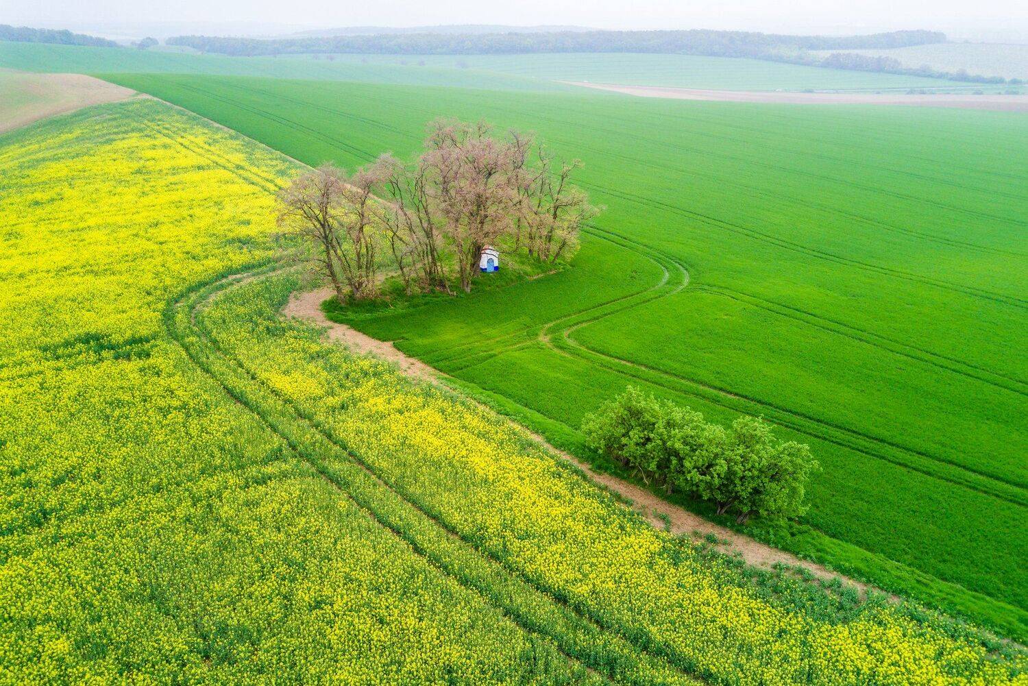чехия, моравия, czech, czechia, moravia, morava, green, grass, meadow, hill, tree, mountain, spring, sunny, day, Василий Яковлев