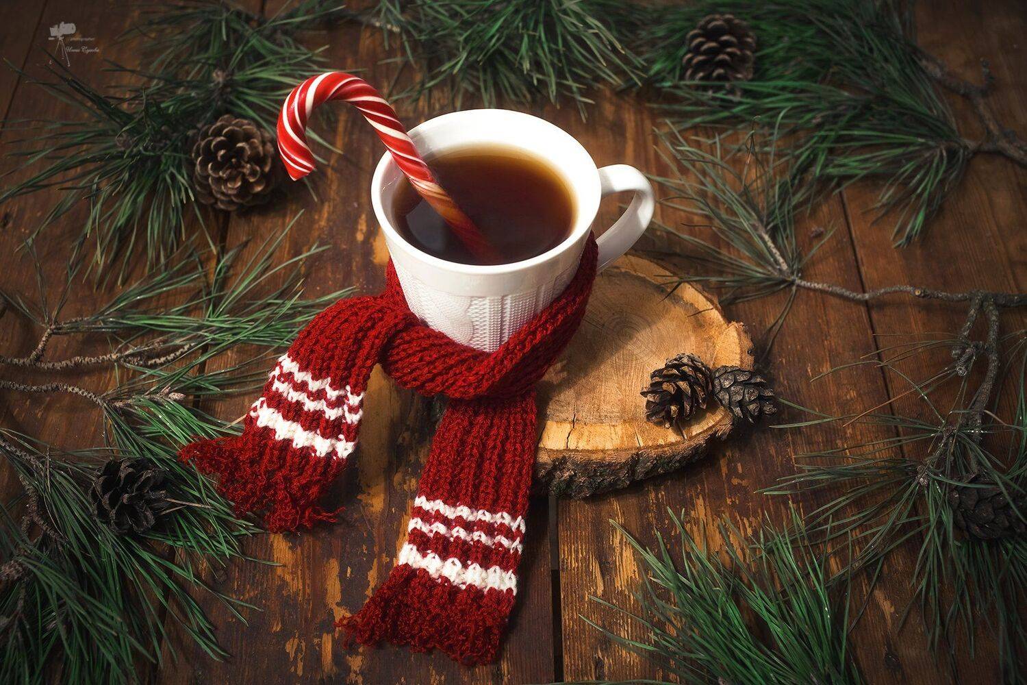 , Инна Сухова