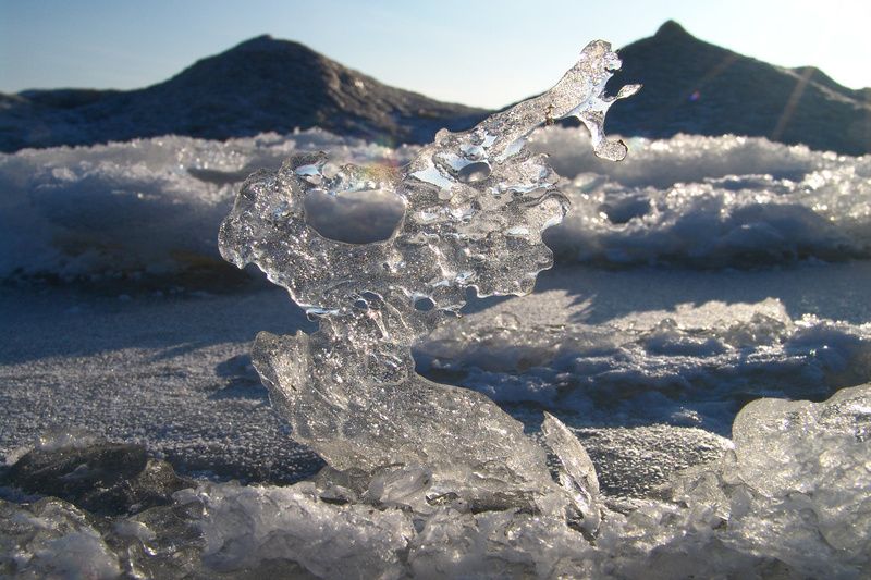 Водяной заяц... фото превью
