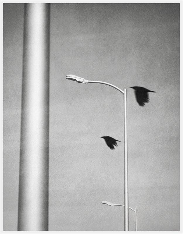 , Krzysztof Trojanowski