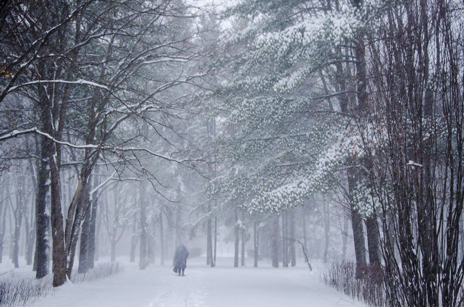 , Астрид Екатерина