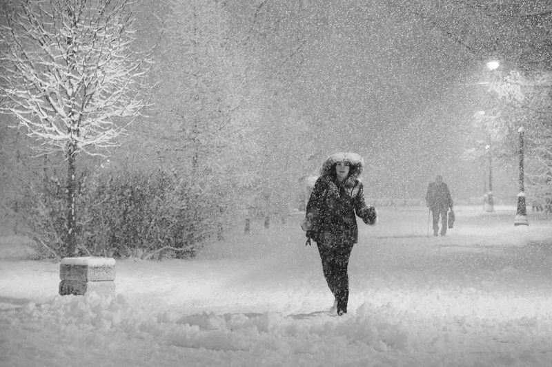 снегопад, снег, метель, старик, фонарь, зима, парк победы, парк, кусты, деревья Дорога домой фото превью